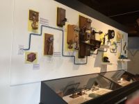 Bell Museum