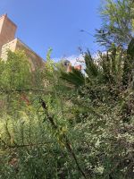 Grüne Oase in Nantes