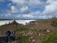 028-Giants Causeway