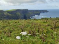 061-Cliffs of Moher