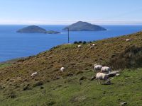 087-Iveragh peninsula Kenmare river