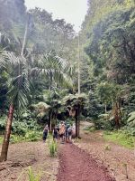 subtropisch üppige Vegetation