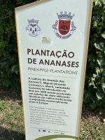 ein interessanter Abschluss des Tages