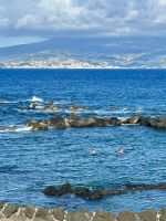 immer wieder Naturschwimmbäder