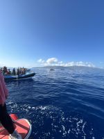 alle sind gespannt und halten Ausschau