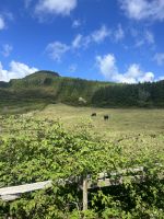  Insel Terceira 