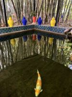 Jardin Majorelle
