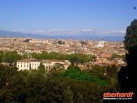 Blick über die Dächer Rom's