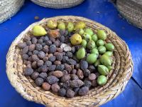 Argan Nüsse in verschiedenen Reifegraden