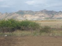 2024 Donaukreuzfahrt: Donaudelta - Rückfahrt nach  Brâila