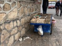 Wer will denn da Süßholz raspeln?