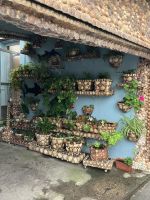 Spanien, Muschelhaus in Sardiñero