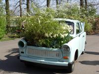 Tag 2 - 2 - Thema im Keukenhof - Deutschland (5)