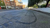 Dublin Wikinger Spuren