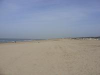 Tag 2 - 7 - Strand von Scheveningen (1)