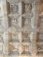 F und Salamander - Francois I.