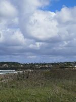 Eine von vielen Impressionen 