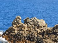 mit etwas Fantasie - erkennt ihr was?