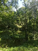 Was die Natur so herbringt.....