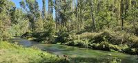 2. Teil der Wanderung