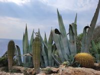 Weg zur Höhle von Xoroi/Menorca/Balearen
