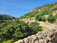 Camí de Cavalls Cala en Porter - Cala Llucalari/Menorca/Balearen