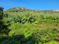 Camí de Cavalls Cala en Porter - Cala Llucalari/Menorca/Balearen