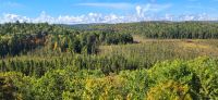 62 Blick in den Algonquin Park