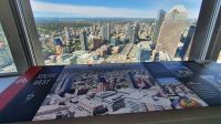 Ausblick vom Calgary Tower bis zu den Rocky Mountains