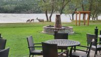 Ausblick beim Frühstück - Hirsch-Familie am Waterton Lake