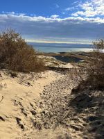 Dünenlandschaft Kurische Nehrung 