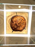 Bernsteinmuseum in Nida