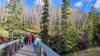 Morgenspaziergang am Red Rock Canyon im Waterton-Lakes-Nationalpark