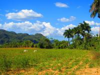 Landidylle im Vinalestal