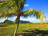 Landidylle im Vinalestal