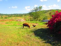 Landidylle im Vinalestal