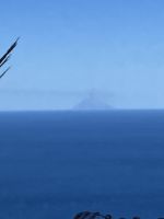 IMG_0024.jpeg