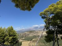 Festos (1)