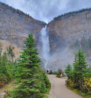 Wanderweg zu den Takakkaw Falls im Yoho-Nationalpark
