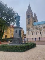 2024 Donaukreuzfahrt: Pécs - Kathedrale, Vorplatz