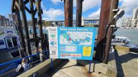 False Creek Ferries auf Granville Island