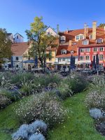 Rundgang durch die Altstadt 