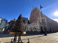 Denkmal - erster Weihnachtsbaum der Welt
