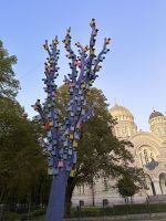 Abendspaziergang durch die Altstadt