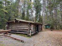 5. Tag – Huntsville bis Ottawa – Spaziergang auf dem „Logging Trail“ im Algonquin Park