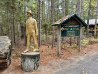 5. Tag – Huntsville bis Ottawa – Spaziergang auf dem „Logging Trail“ im Algonquin Park