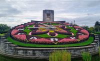 Flower Clock (8)