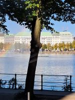 Stadtrundfahrt Hamburg 