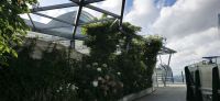 Fenchurch 120