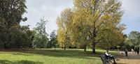 Herbst im Hyde Park 